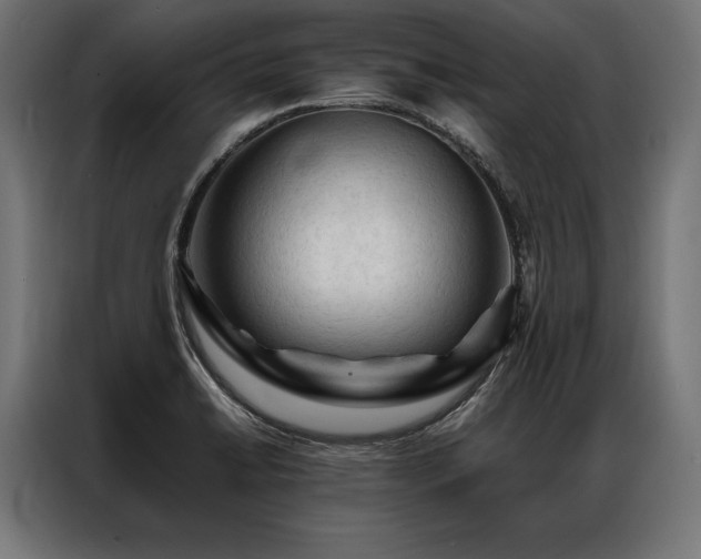 X0000087021422200704161553