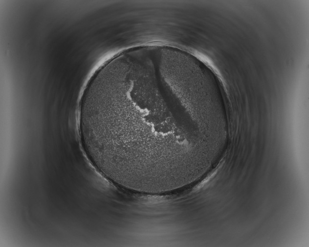 X0000087021424200704161553