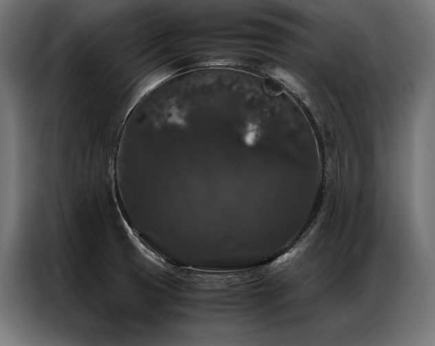 X0000087021425200704161553