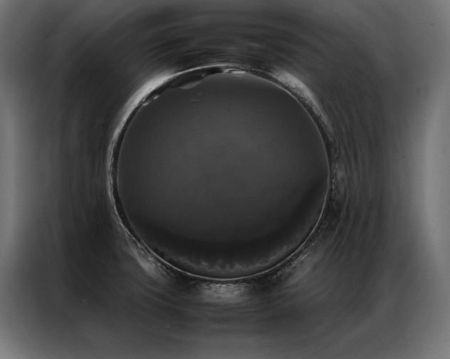 X0000087021427200704161553