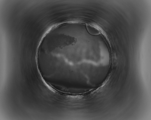 X0000087021429200704161553