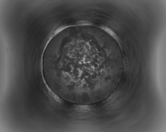 X0000087021431200704161553