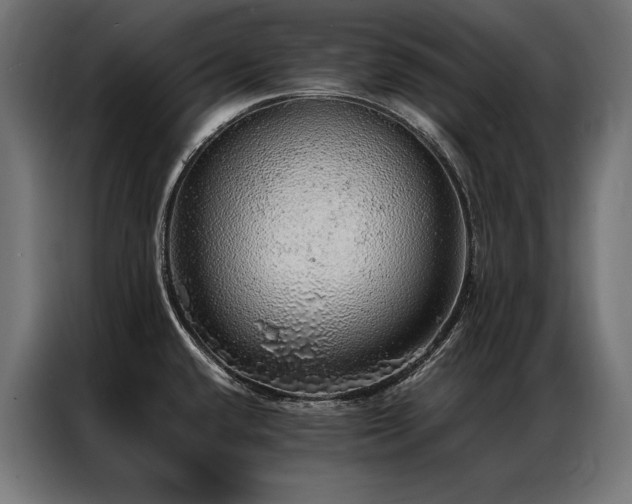 X0000087021432200704161553