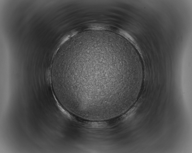 X0000087021433200704161553