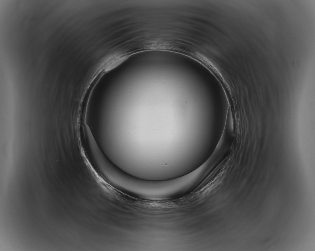 X0000087021434200704161553