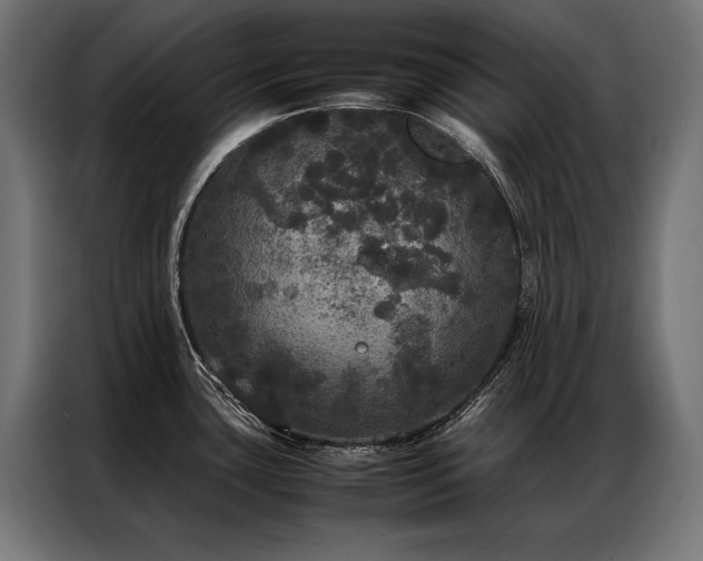 X0000087021435200704161553