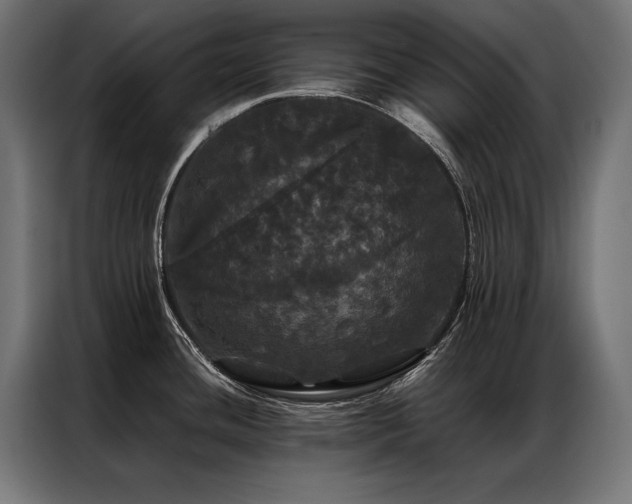 X0000087021436200704161553