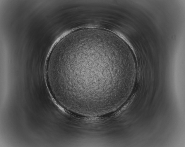X0000087021437200704161553