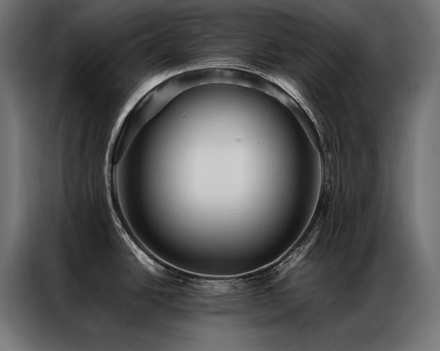 X0000087021438200704161553