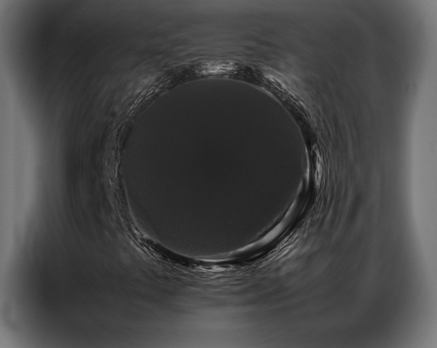 X0000087021441200704161553