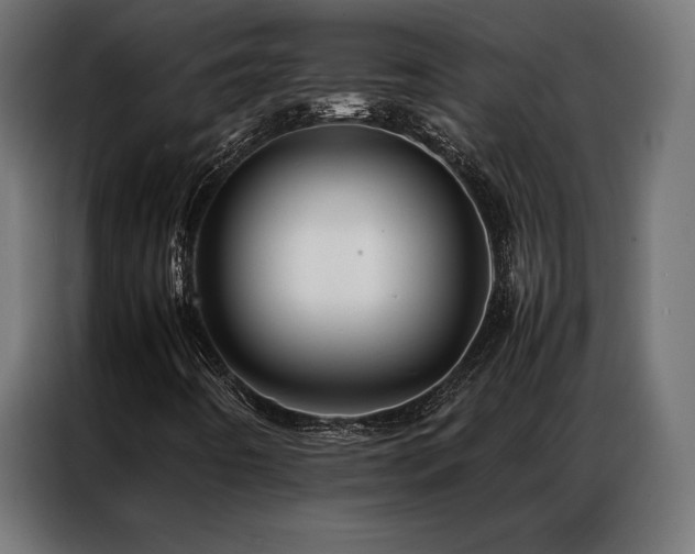 X0000087021442200704161553