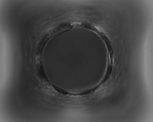 X0000087021445200704161553
