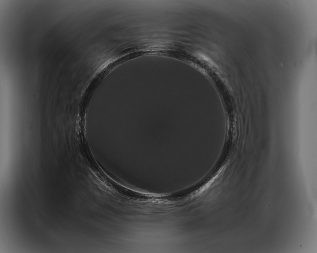 X0000087021449200704161553