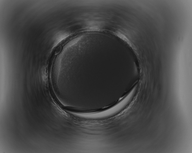 X0000087021450200704161553