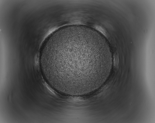 X0000087021452200704161552