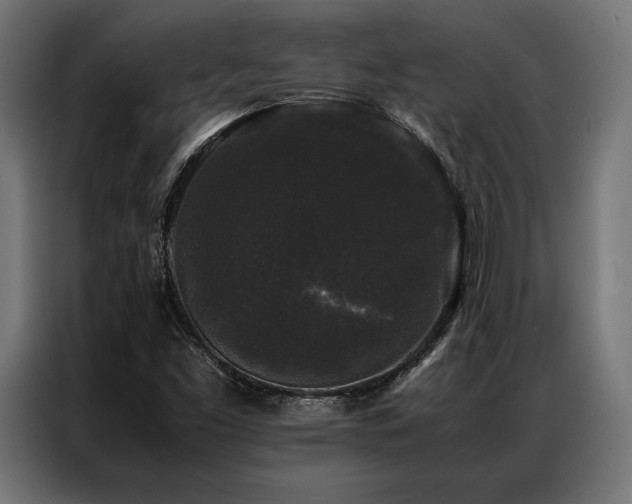 X0000087021453200704161552
