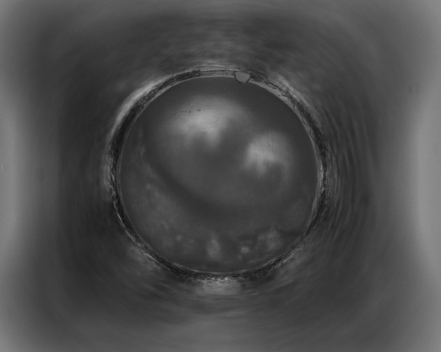 X0000087021454200704161552