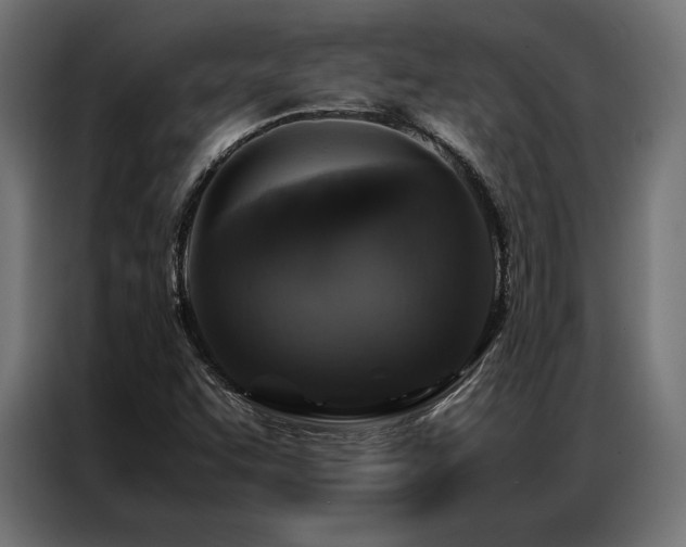 X0000087021455200704161552