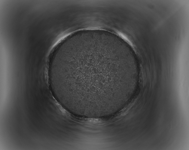 X0000087021456200704161552
