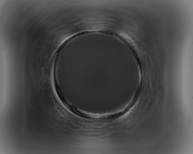 X0000087021457200704161552
