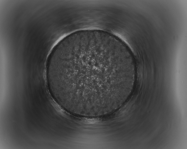 X0000087021460200704161552