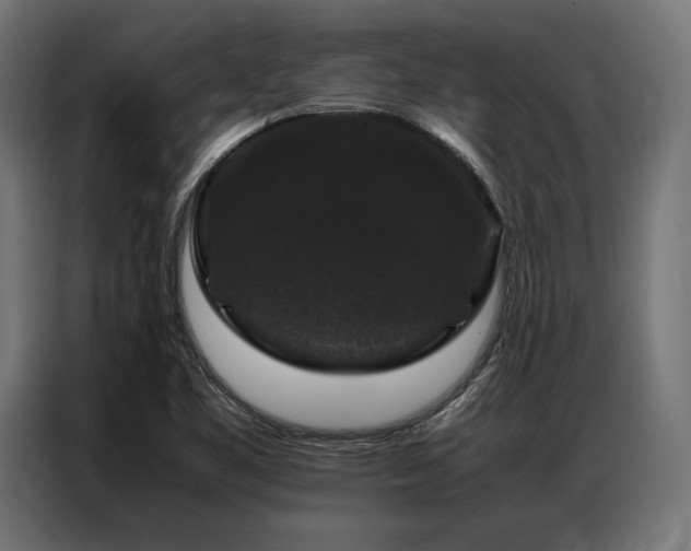 X0000087021461200704161552