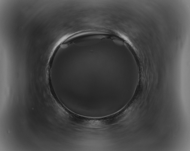 X0000087021463200704161552