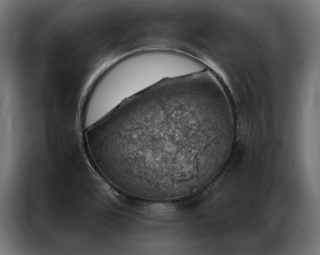 X0000087021464200704161552