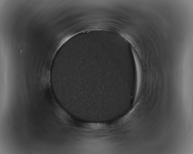 X0000087021465200704161552