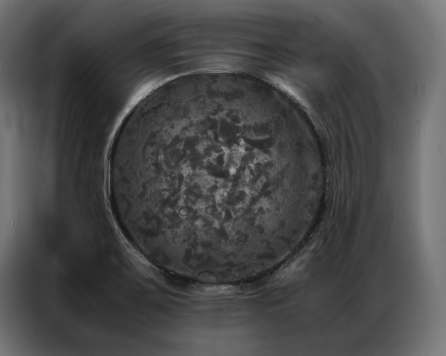 X0000087021467200704161552