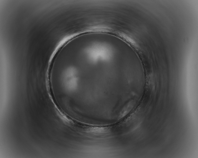 X0000087021470200704161552