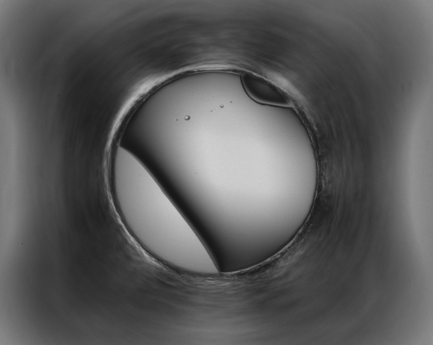 X0000087021472200704161552