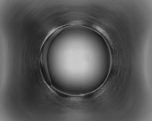X0000087021473200704161552
