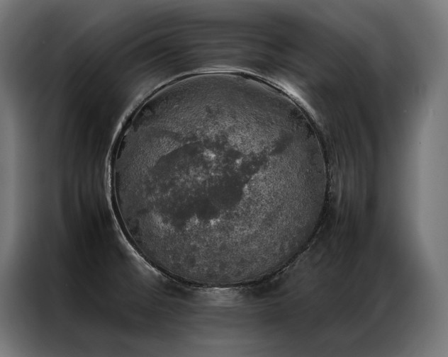 X0000087021476200704161552