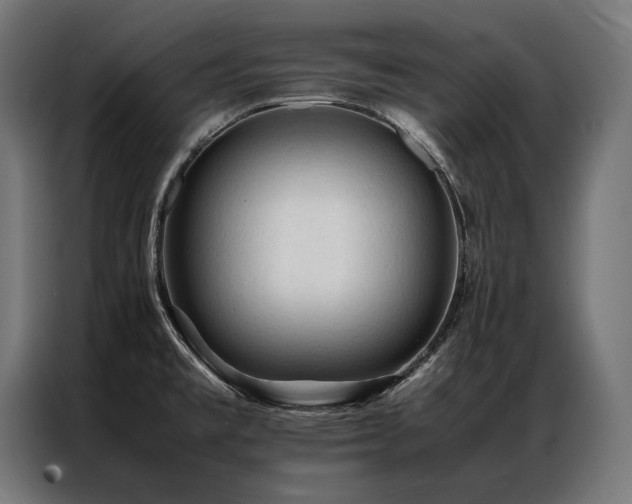 X0000087021477200704161552
