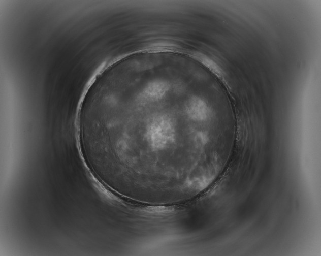 X0000087021478200704161552