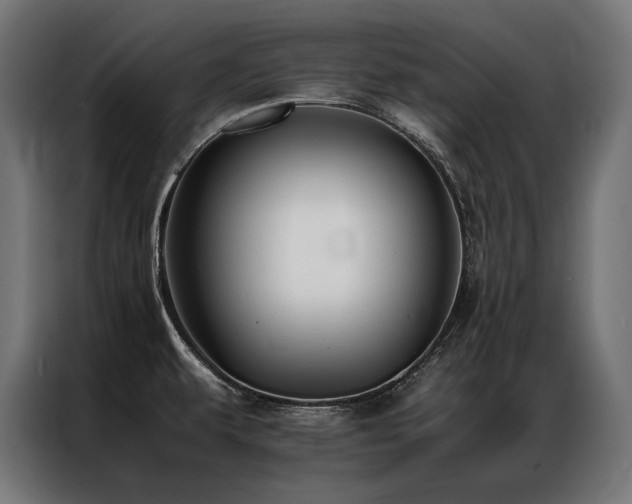 X0000087021479200704161552