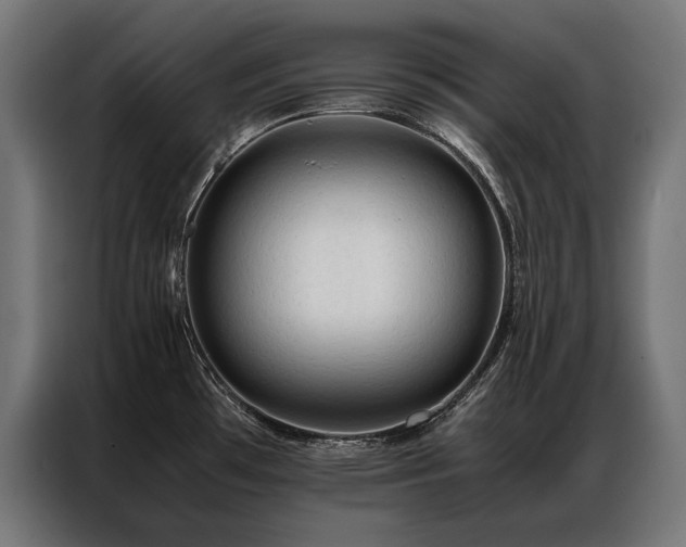 X0000087021481200704161552
