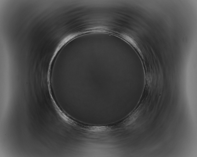 X0000087021482200704161552