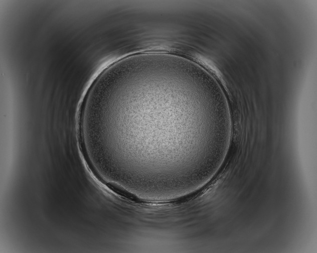 X0000087021483200704161552