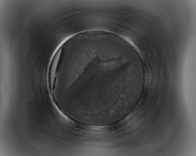 X0000087021484200704161552