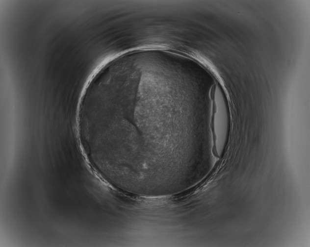 X0000087021488200704161552