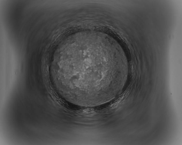 X0000087021489200704161552