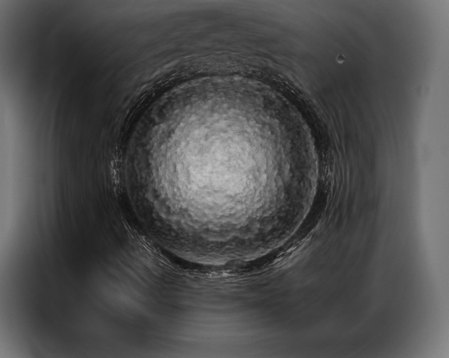 X0000087021490200704161552