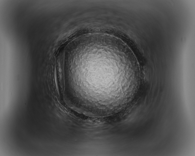 X0000087021493200704161552