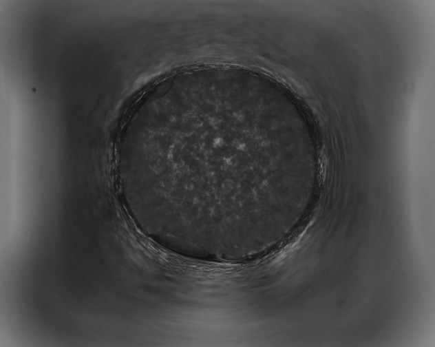 X0000087021494200704161552