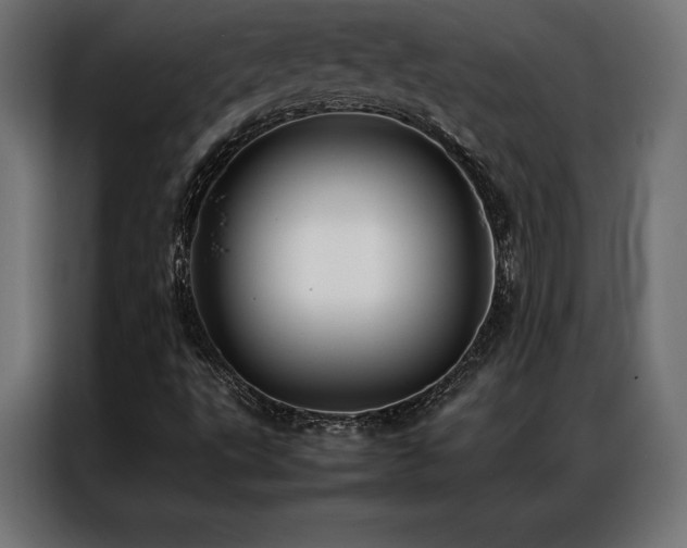 X0000087021495200704161552