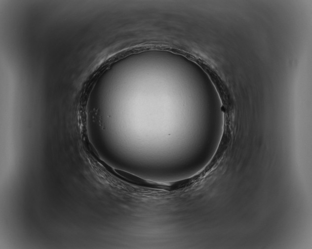 X0000087021496200704161552
