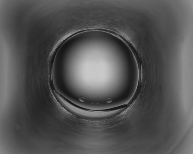 X0000087021500200704161552
