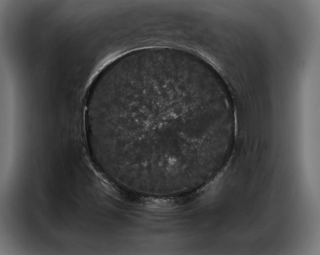 X0000087021501200704161552